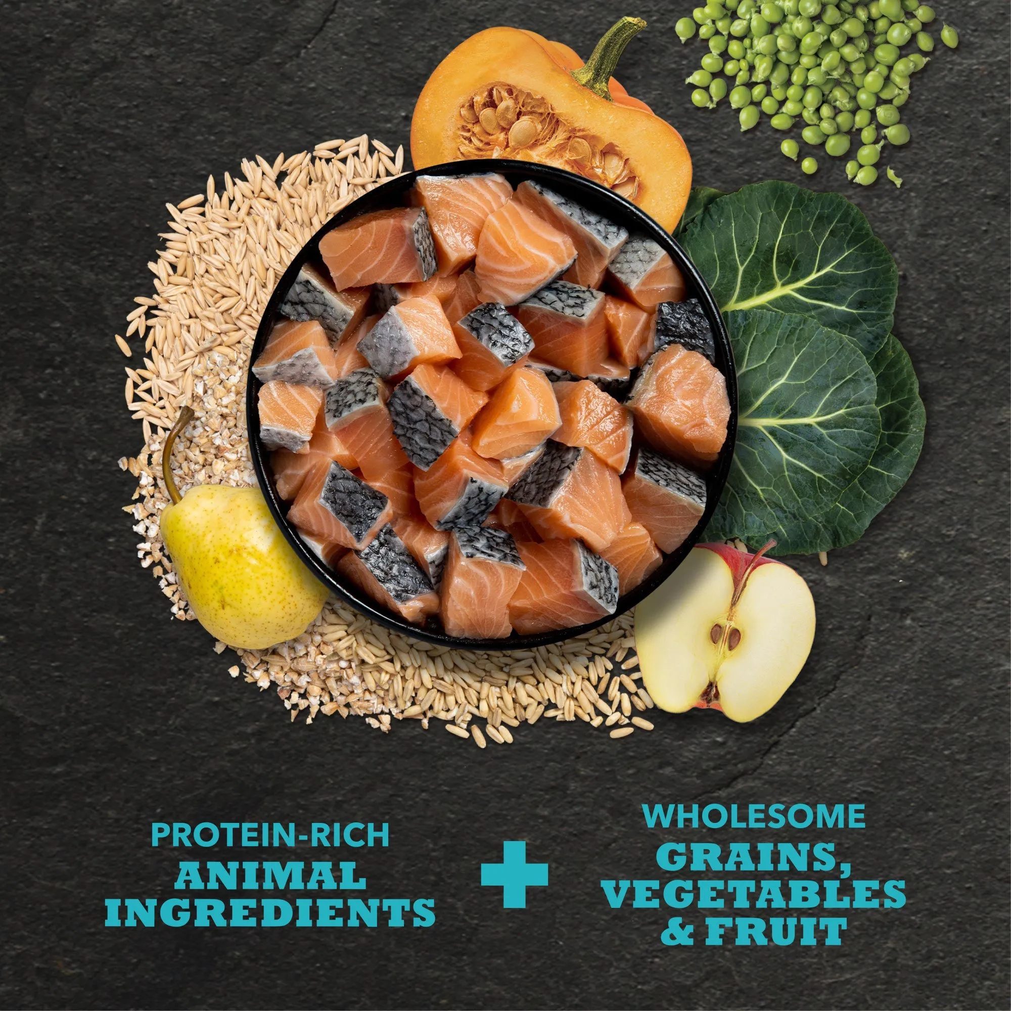 ACANA Classics Dry Dog Food Salmon & Barley Recipe 4lb