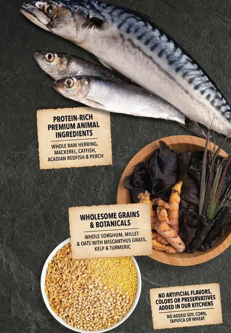 ACANA   Wholesome Grains American Waters Recipe with Whole Saltwater & Freshwater Fish Dry Dog Food