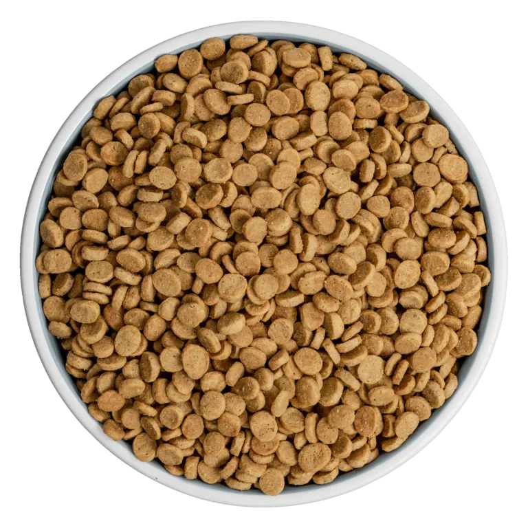 Bixbi Pet Rawbble® Dry Food for Dogs – Lamb Recipe