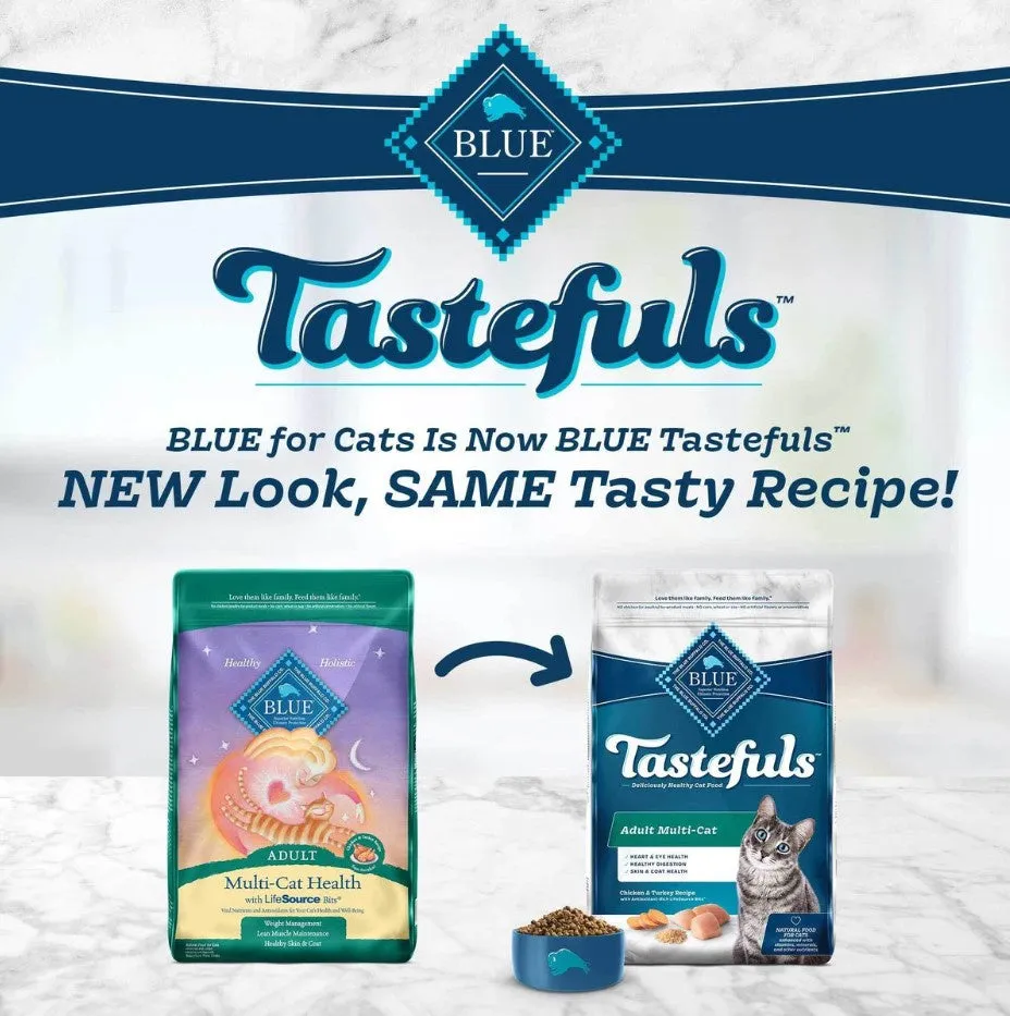 Blue Buffalo Multi-Cat Natural Chicken & Turkey Adult Dry Cat Food