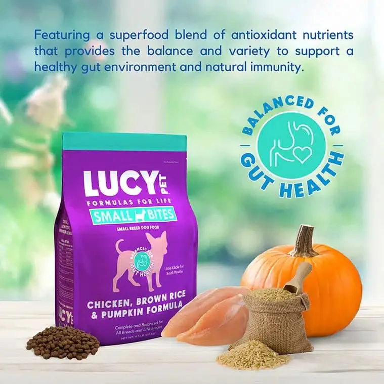 Chicken, Brown Rice & Pumpkin Limited Ingredient Diet Formula Dog Food Small Bite