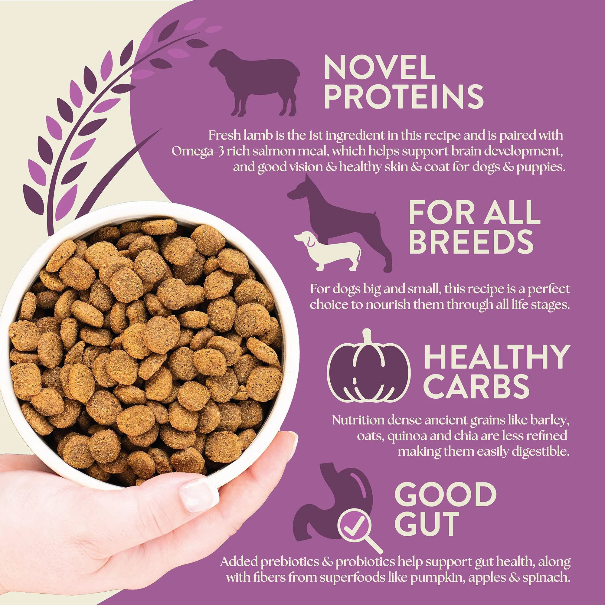 Earthborn Holistic Unrefined Roasted Lamb with Ancient Grains & Superfoods Dry Dog Food 4 lb