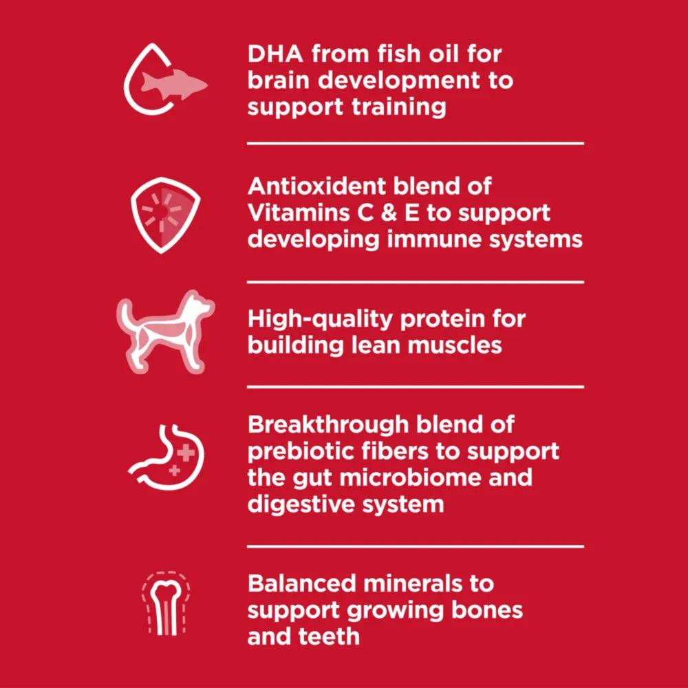 Hill's Science Diet Puppy Chicken Meal & Barley Dry Dog Food
