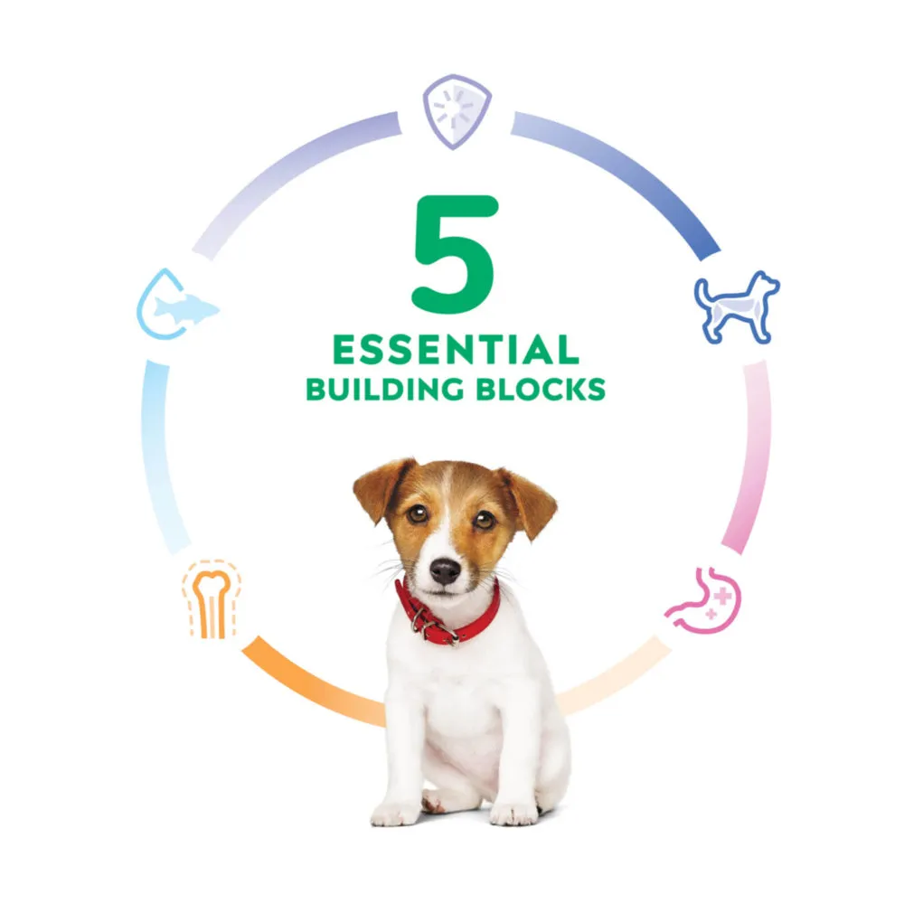 Hill's Science Diet Puppy Small Bites Chicken Meal & Barley Recipe Dry Dog Food