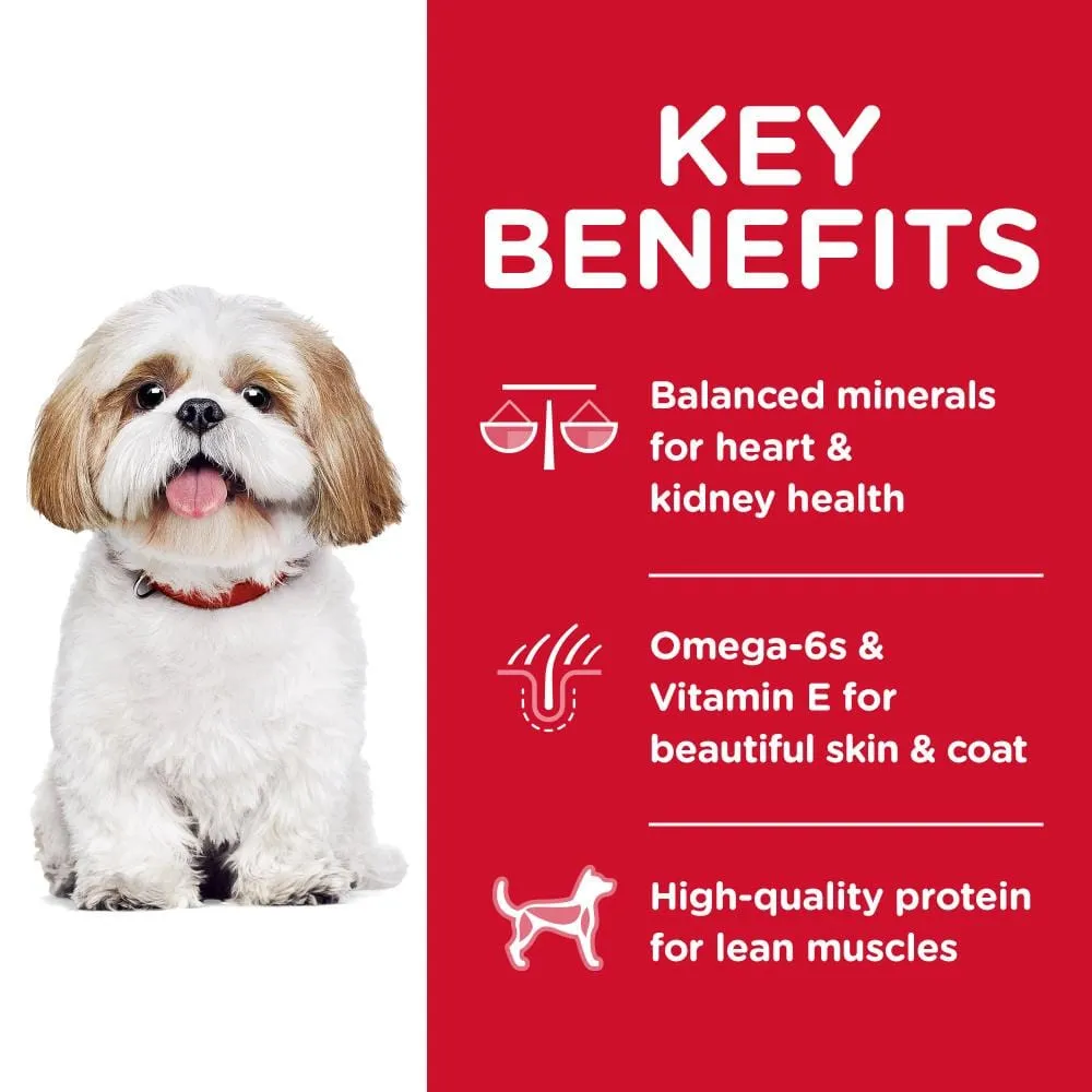 Hill's Science Diet Senior 7  Small Bites Chicken Meal, Barley & Brown Rice Recipe Dry Dog Food