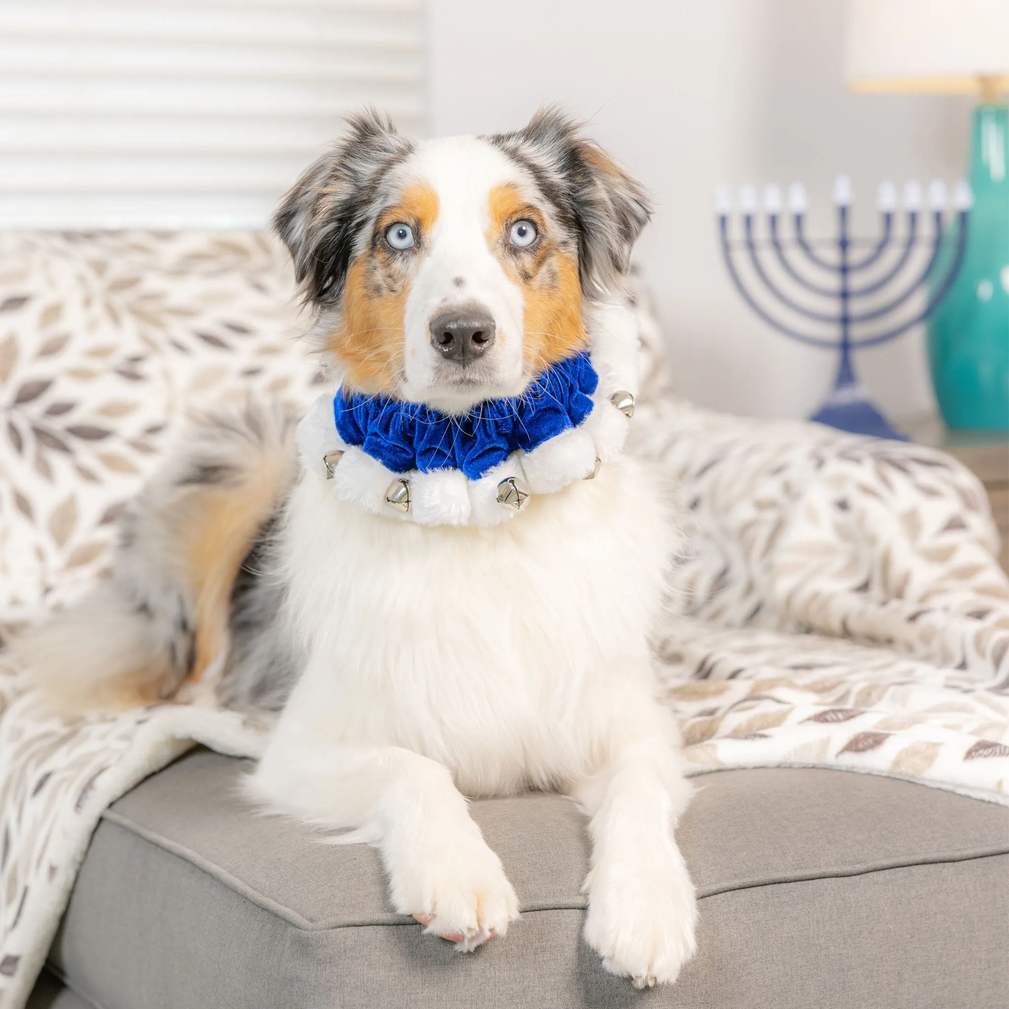 Huxley & Kent Hanukkah Scrunchy - Ruff Blue