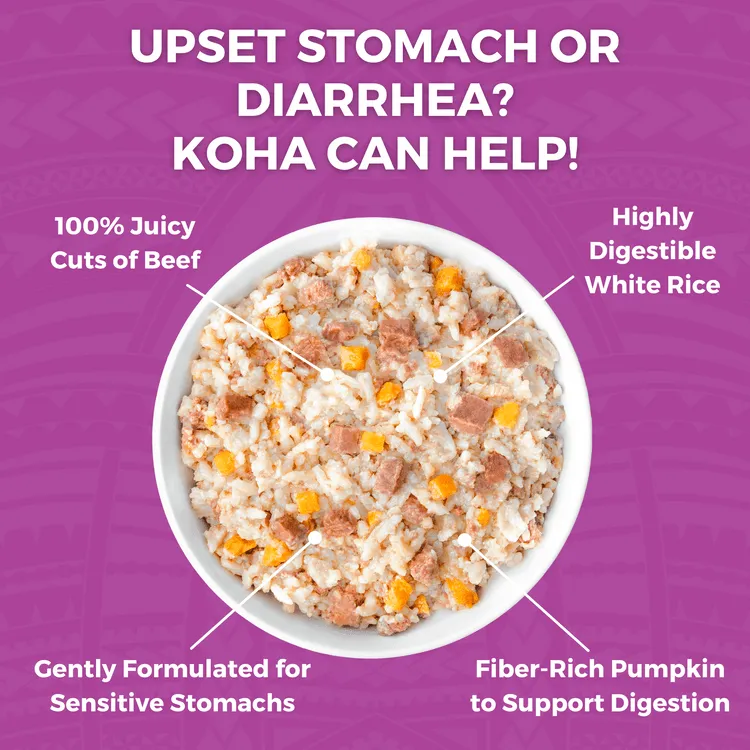 KOHA Limited Ingredient Bland Diet Beef & White Rice Recipe Wet Dog Food Pouch