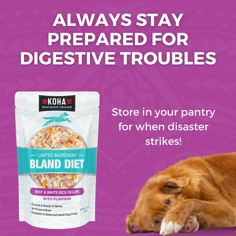 KOHA Limited Ingredient Bland Diet Beef & White Rice Recipe Wet Dog Food Pouch