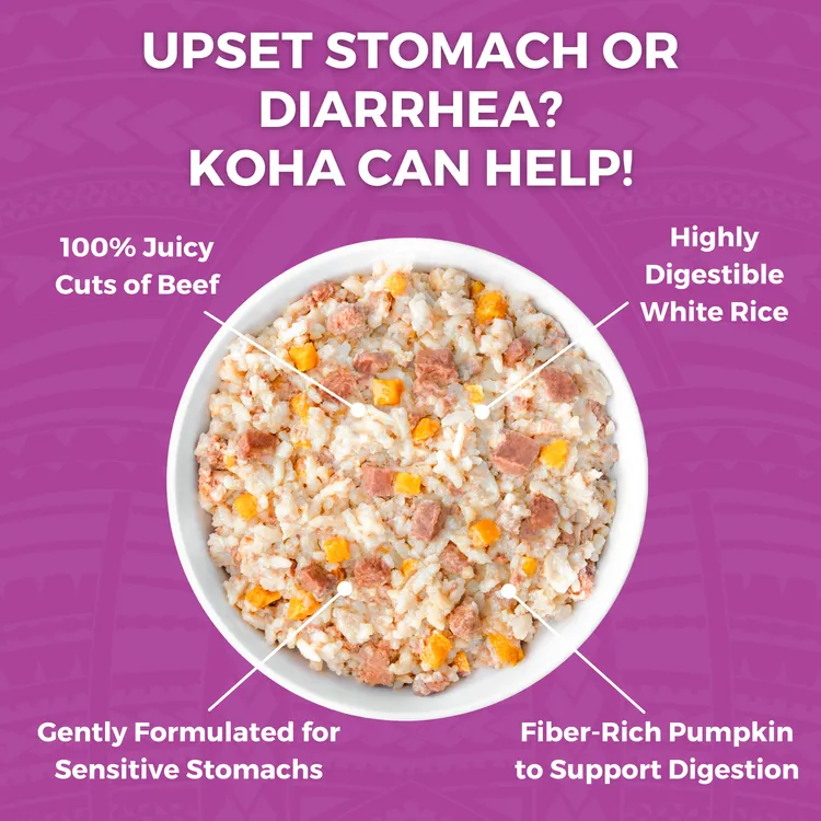 KOHA Limited Ingredient Bland Diet Beef & White Rice Recipe Wet Dog Food Pouch