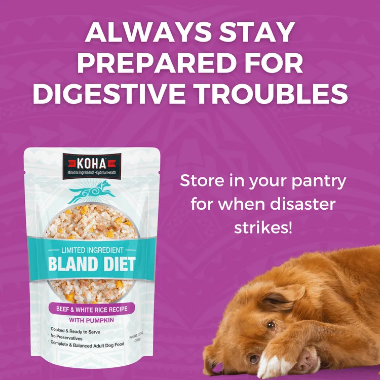 KOHA Limited Ingredient Bland Diet Beef & White Rice Recipe Wet Dog Food Pouch