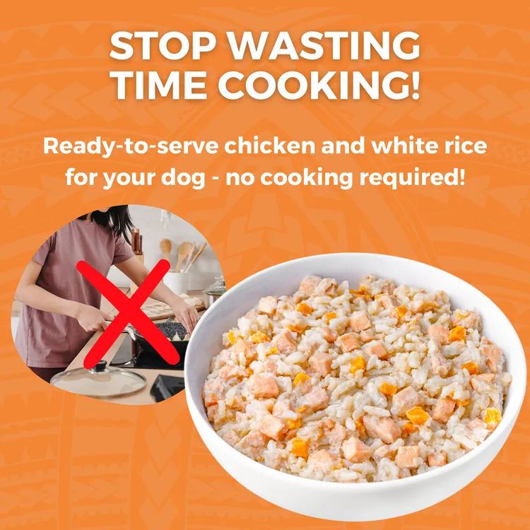 KOHA Limited Ingredient Bland Diet Chicken & White Rice Recipe Wet Dog Food Pouch
