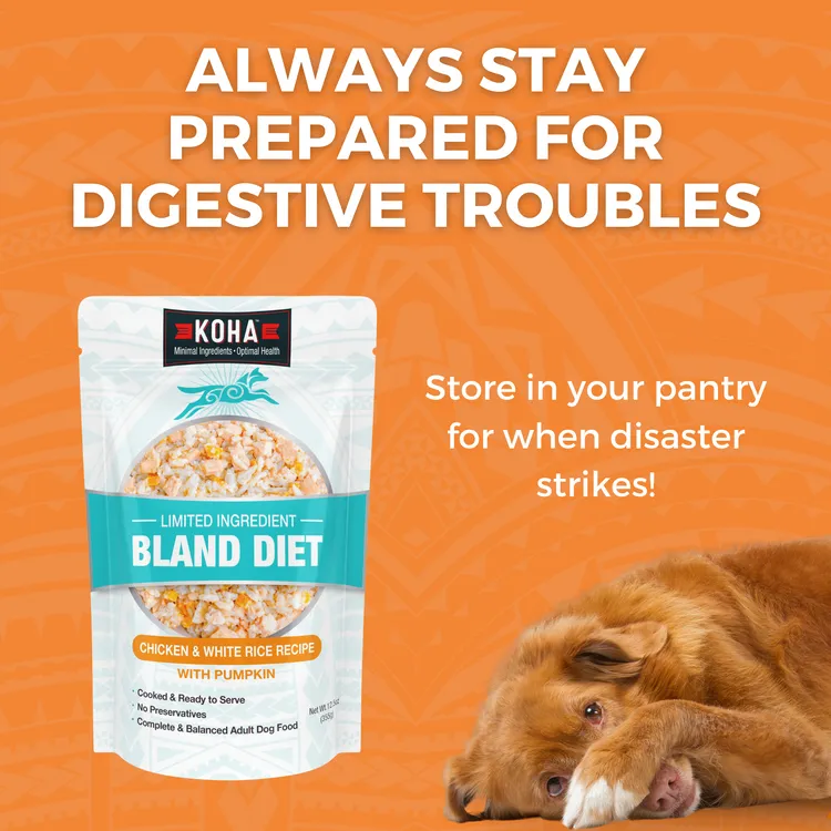KOHA Limited Ingredient Bland Diet Chicken & White Rice Recipe Wet Dog Food Pouch