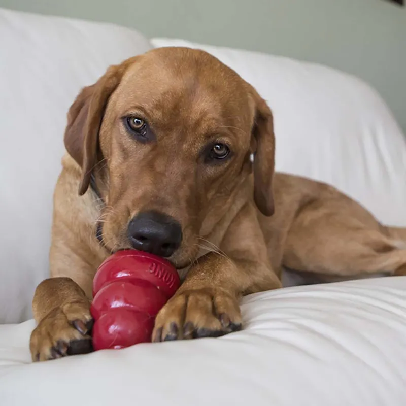 KONG Snacks® Peanut Butter Small Dog Treat