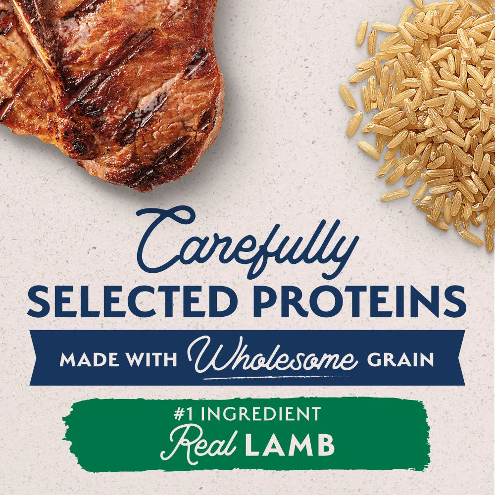 Natural Balance L.I.D. Limited Ingredient Diets Lamb & Brown Rice Formula Small Breed Bites Dry Dog Food