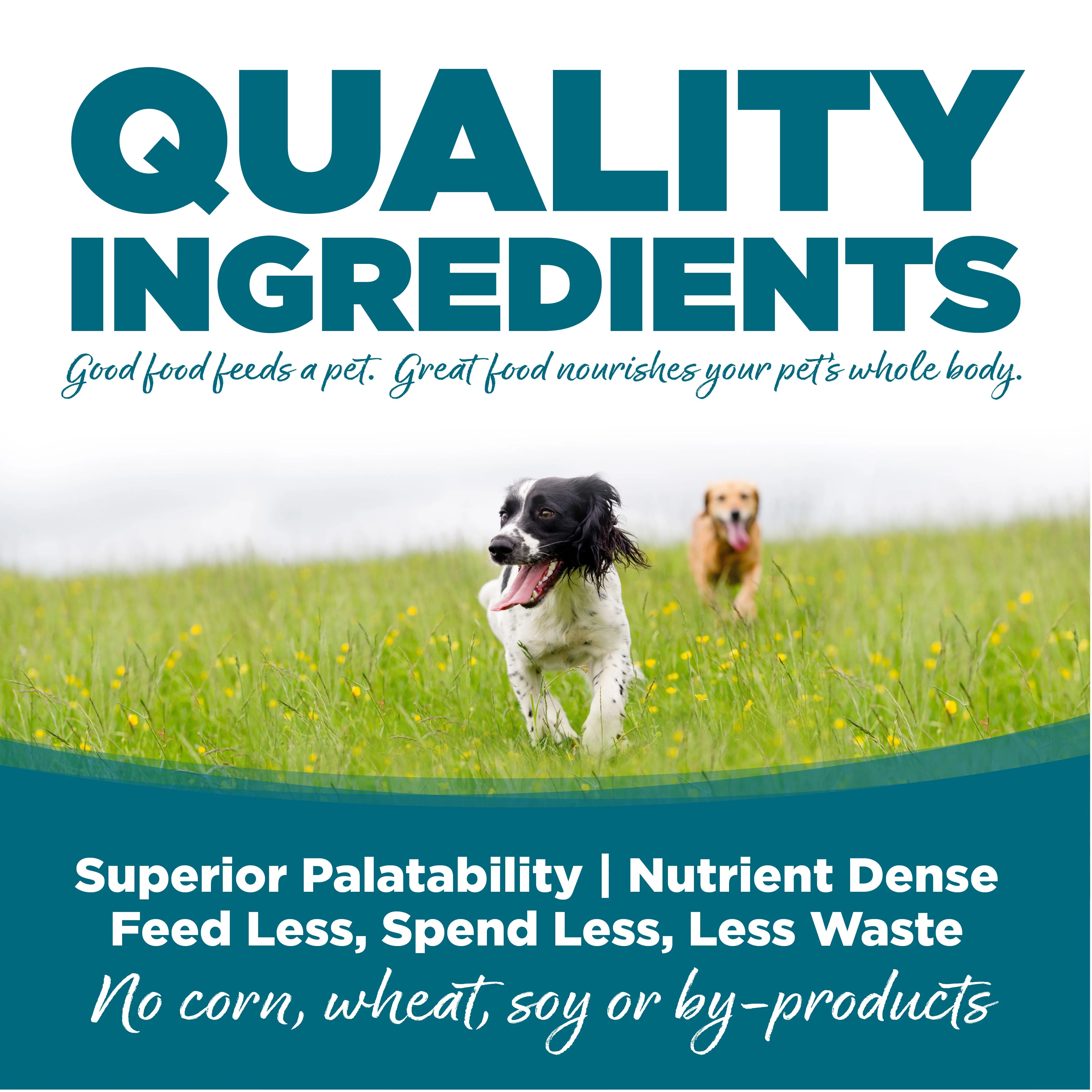 NutriSource® Adult Chicken & Rice Formula Healthy Wet Dog Food