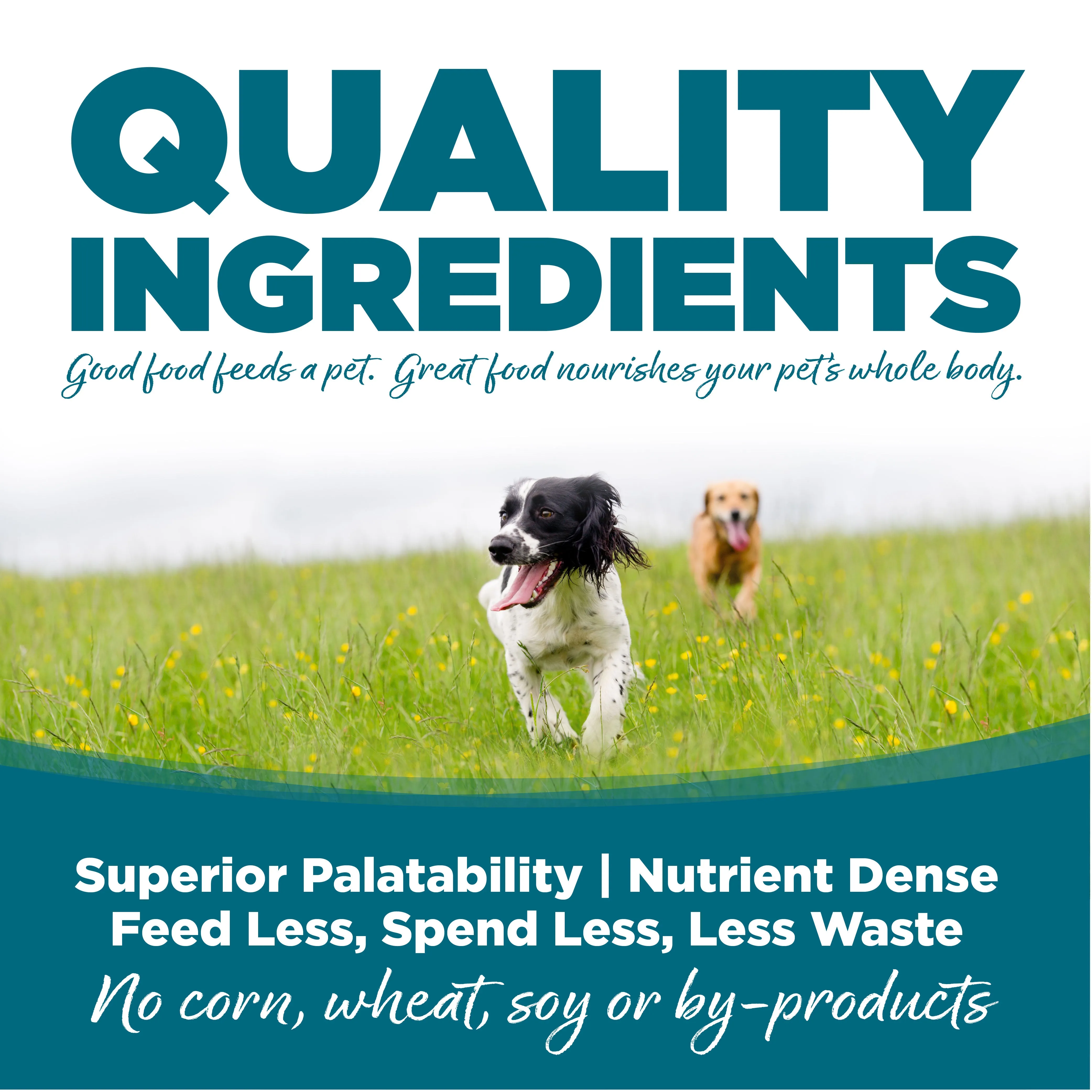 NutriSource® Adult Chicken & Rice Recipe Dry Dog Food
