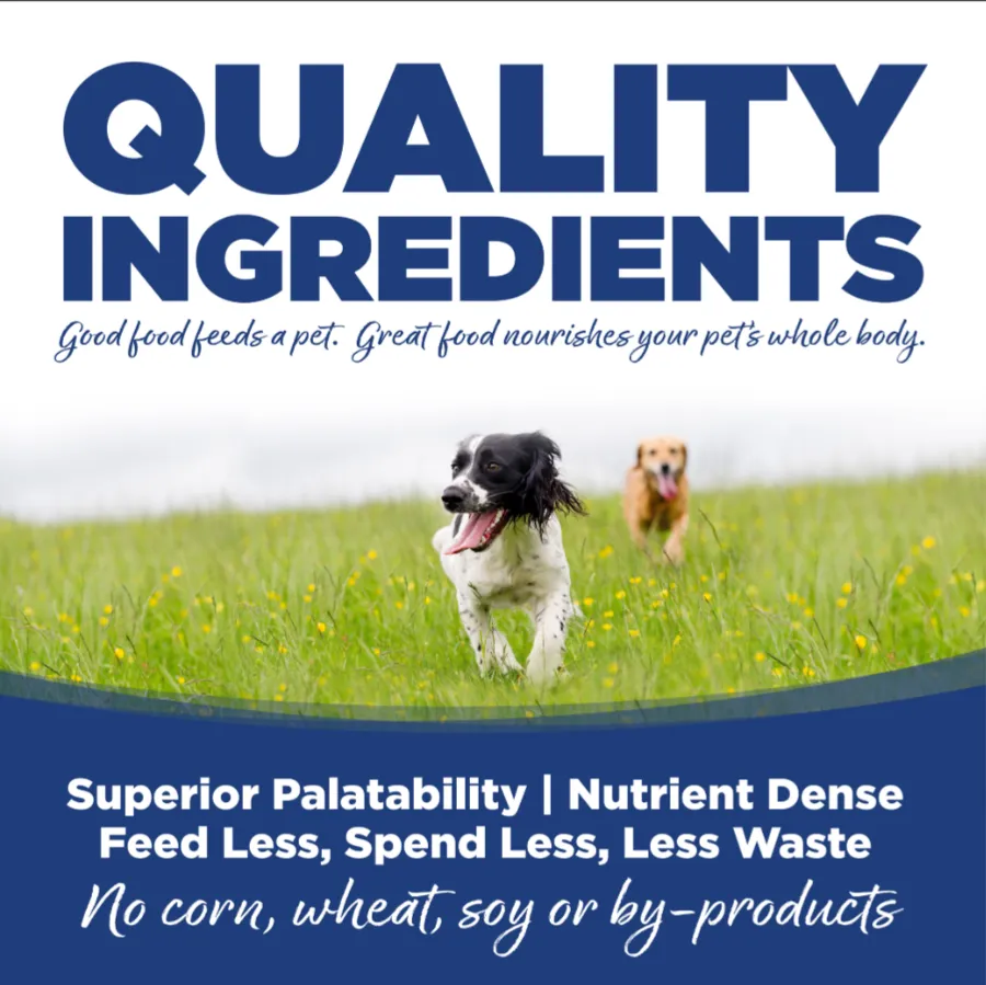 Nutrisource Adult Trout and Rice Dry Dog Food