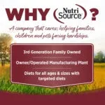 NutriSource® Beef & Rice Recipe Healthy Wet Dog Food