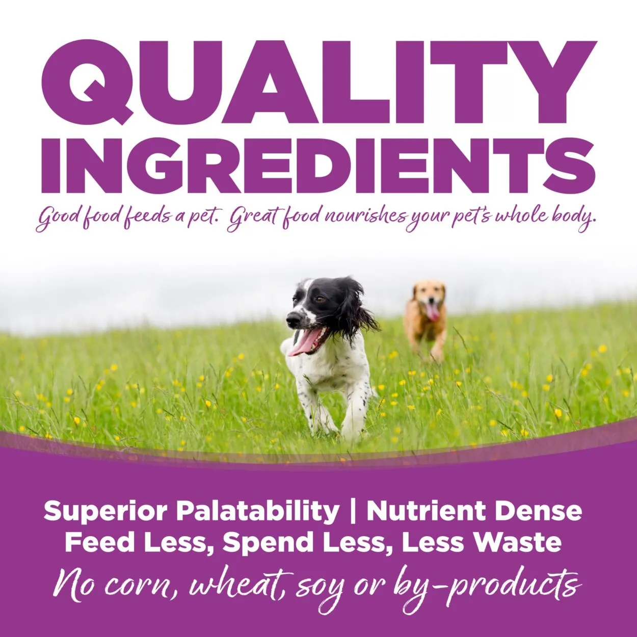 NutriSource Puppy Chicken & Rice Canned Dog Food