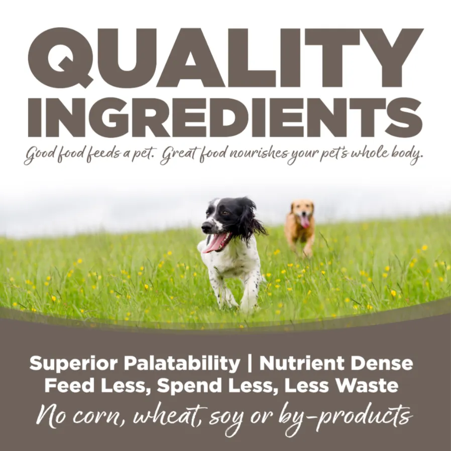 Nutrisource Senior Chicken and Rice Dry Dog Food