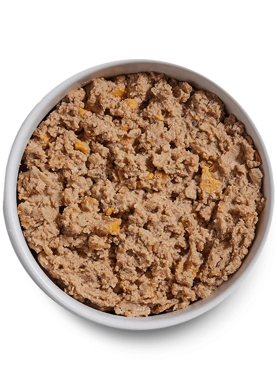 Open Farm Grain Free Puppy Chicken & Salmon Pate Wet Dog Food