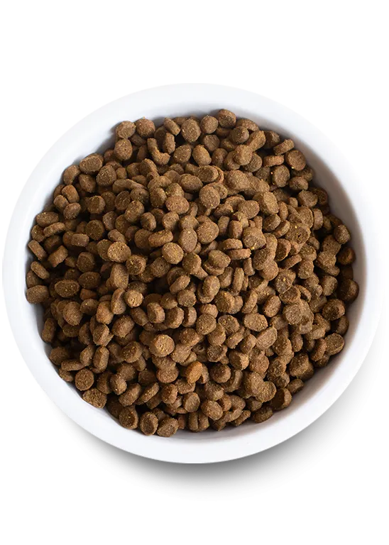 Open Farm Homestead Turkey & Chicken Dry Cat Food