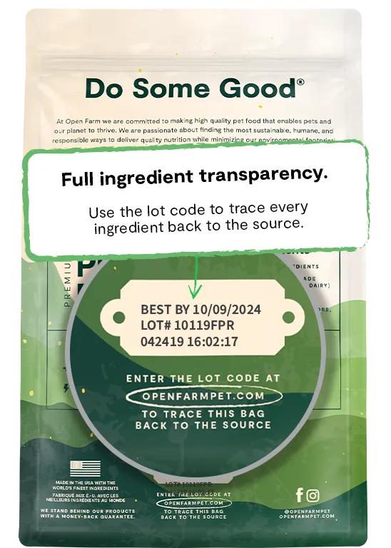 Open Farm Kind Earth Premium Plant Kibble Recipe Dry Dog Food