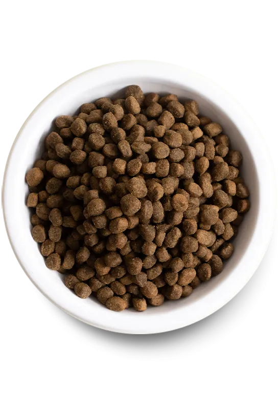 Open Farm Small Breed Ancient Grain Dry Dog Food