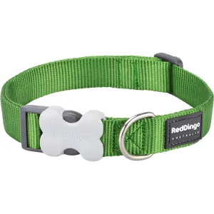 Red Dingo Green Bucklebone Classic Dog Collar