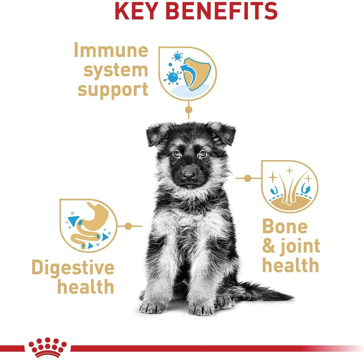 Royal Canin German Shepherd Puppy Dry Dog Food