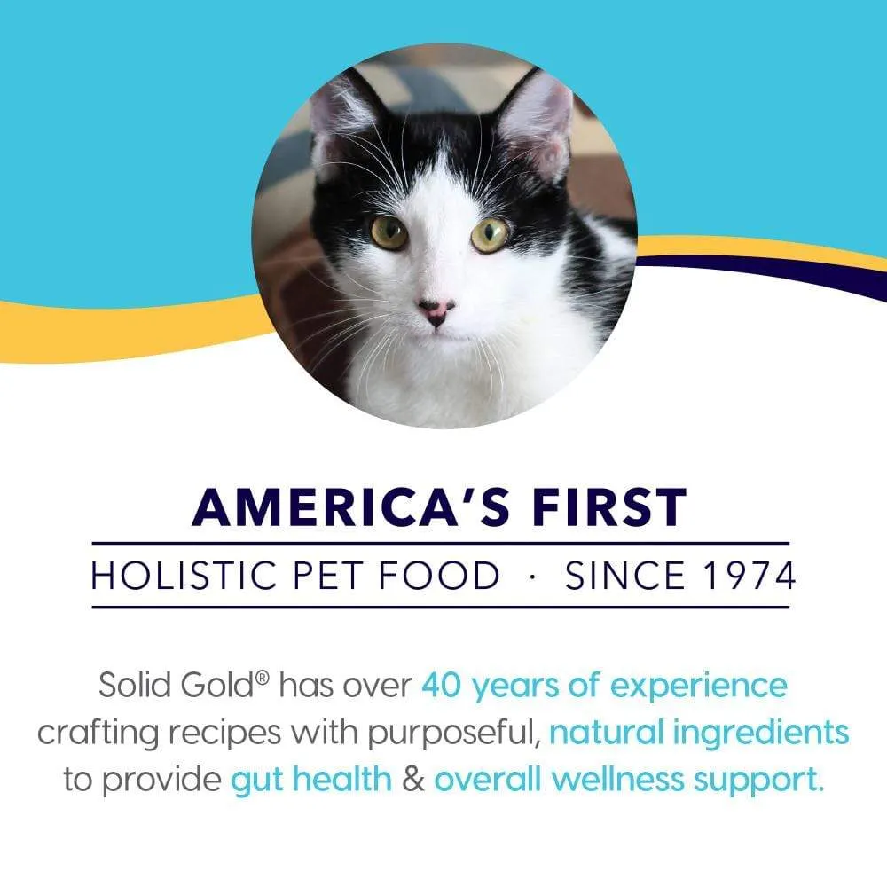 Solid Gold Wholesome Selects Grain Free Chicken, Duck, & Pumpkin in Gravy Recipe Canned Cat Food
