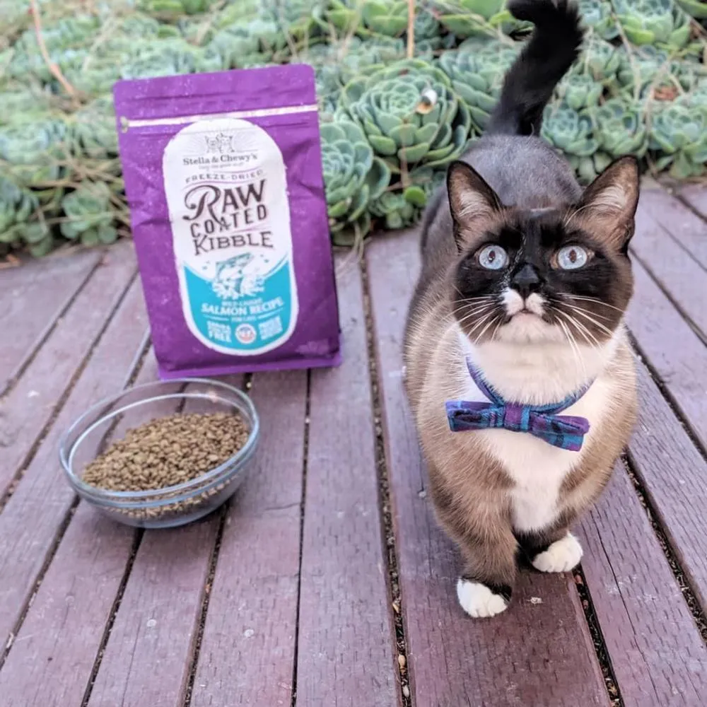 Stella & Chewy's Raw Coated Kibble Wild Caught Salmon Recipe Dry Cat Food