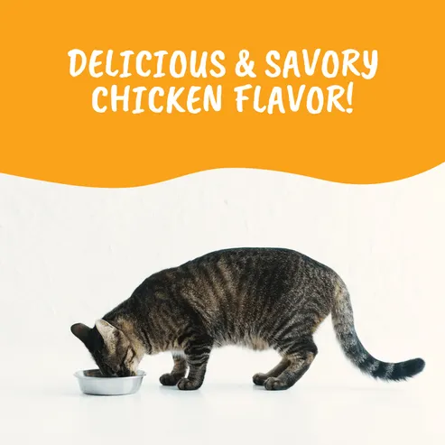 Under the Weather Ready Cal High-Calorie Powder Supplement for Cats