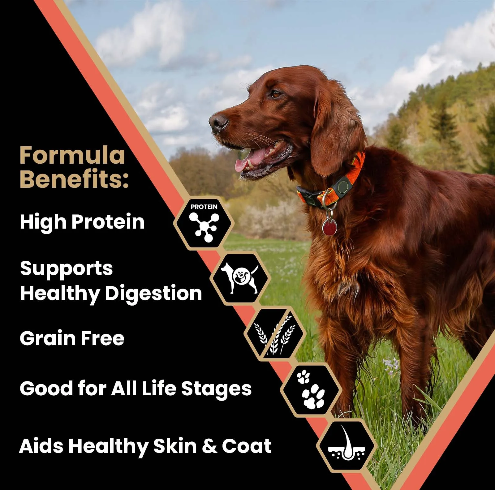 Victor Grain Free Yukon River Dry Dog Food, 30lb