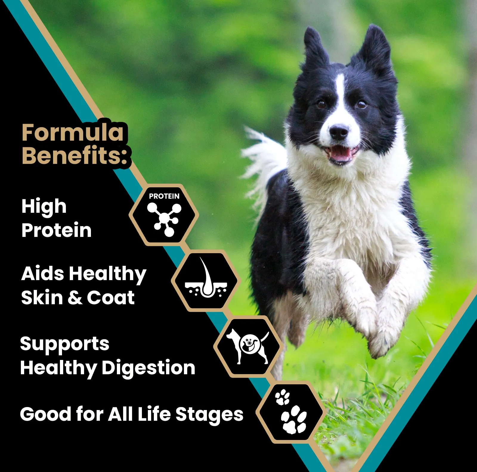 Victor Hi Pro Plus Dry Dog Food, 5lb