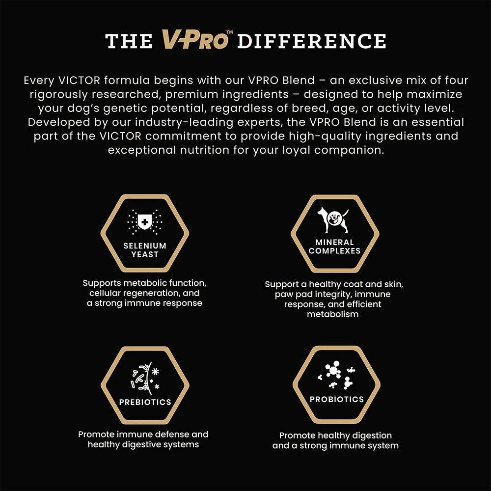 Victor Hi Pro Plus Dry Dog Food, 5lb