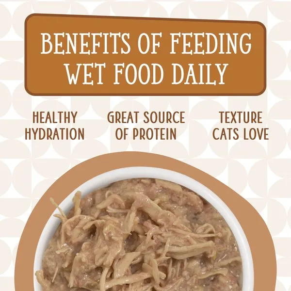 Weruva Fowl Ball Chicken and Turkey Recipe Canned Cat Food