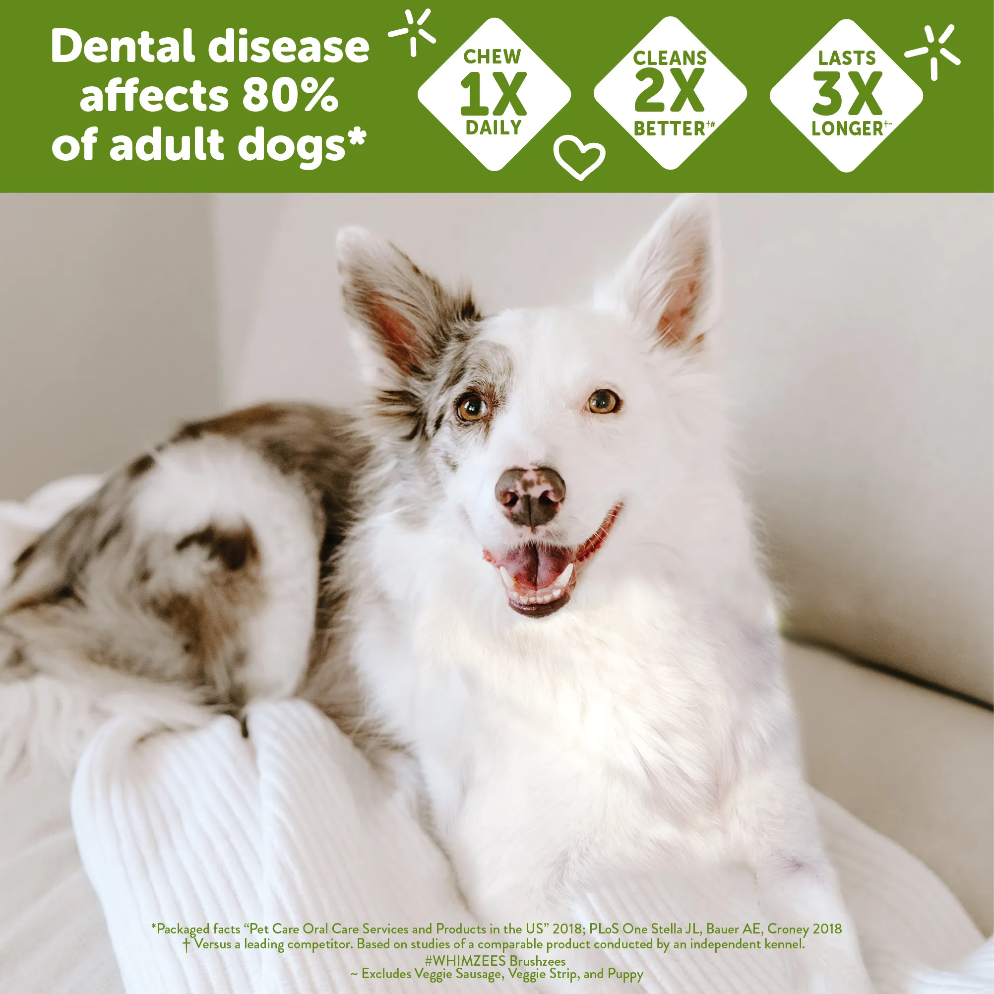 WHIMZEES by Wellness Stix Natural Grain Free Dental Chews for Dogs, Extra Small Breed, 56 count