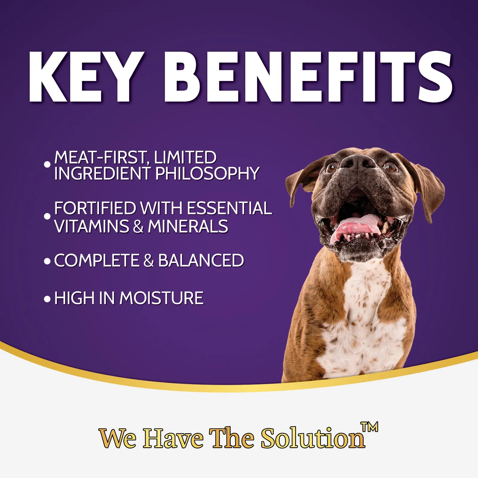 Zignature Kangaroo Canned Dog Food Formula