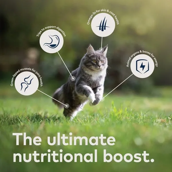 ZIWI Peak Grain Free Air-Dried Free-Range Chicken Dry Cat Food
